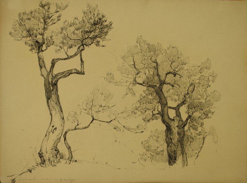 1928 - Ulivi a Sorrento (2)